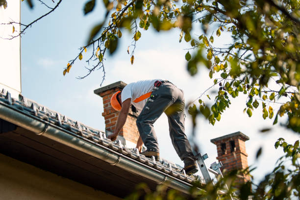 Best Storm Damage Roof Repair  in Renovo, PA