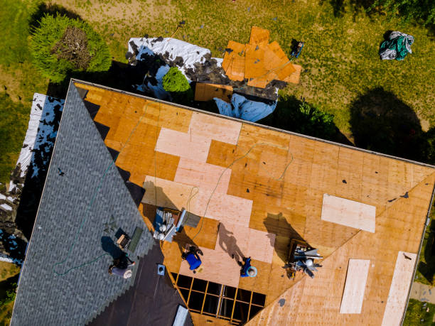 Best Roof Repair Services  in Renovo, PA